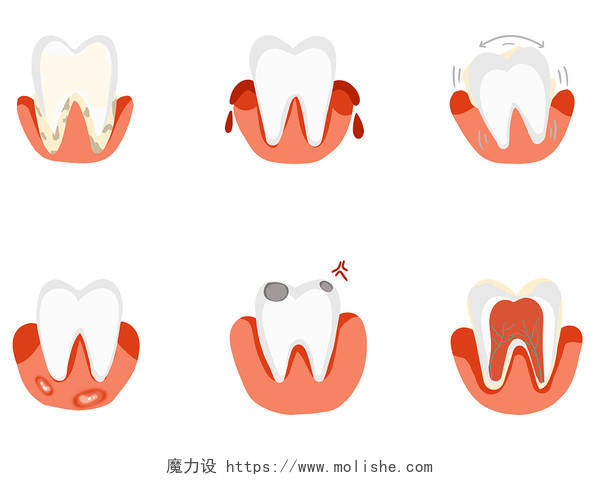 卡通扁平口腔结构图牙齿疼痛